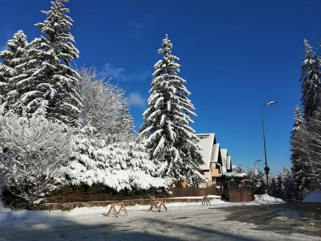 Pensiunea Colina โปยานาบราซอฟ ภายนอก รูปภาพ