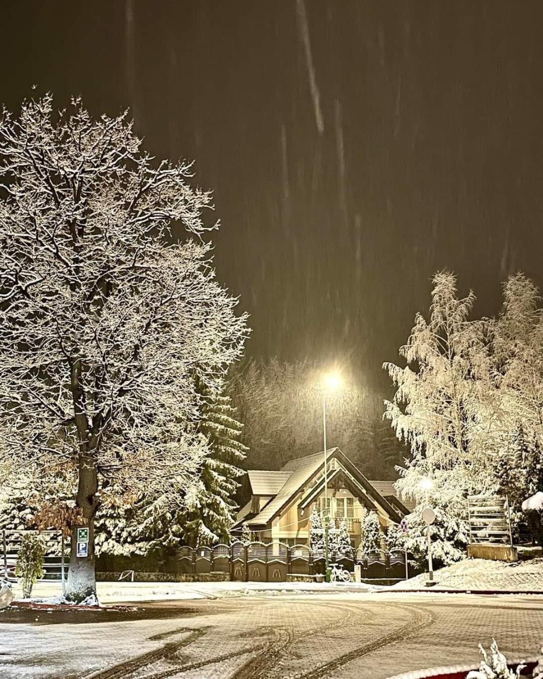 Pensiunea Colina โปยานาบราซอฟ ภายนอก รูปภาพ
