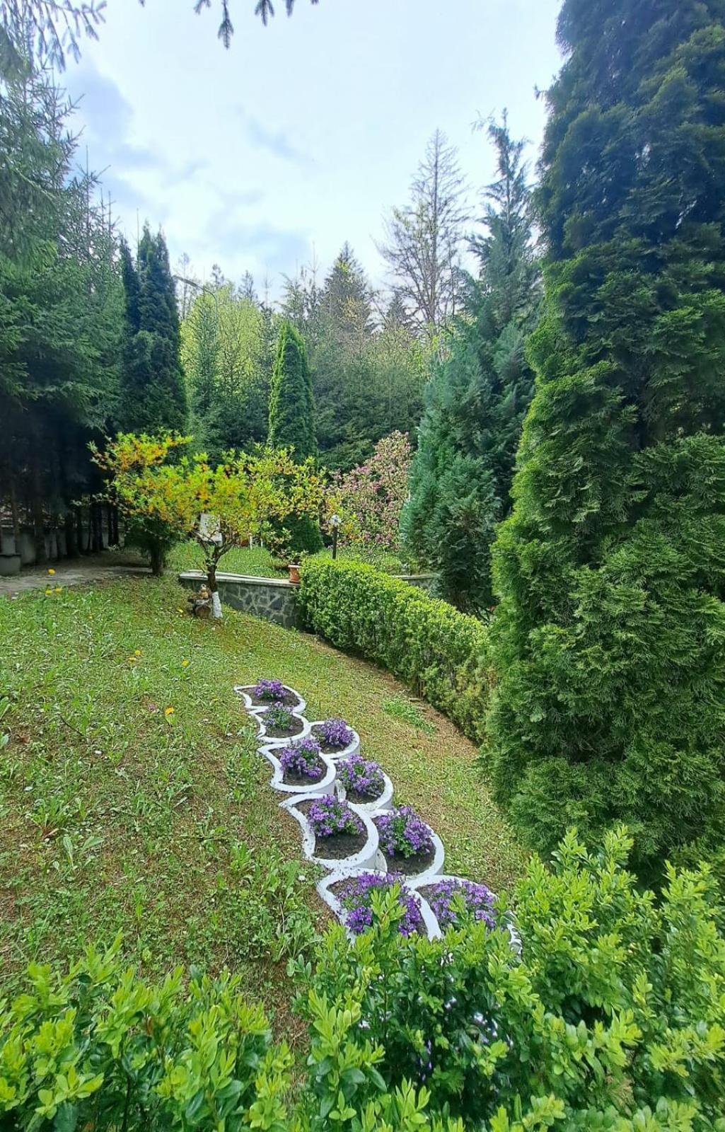 Pensiunea Colina โปยานาบราซอฟ ภายนอก รูปภาพ