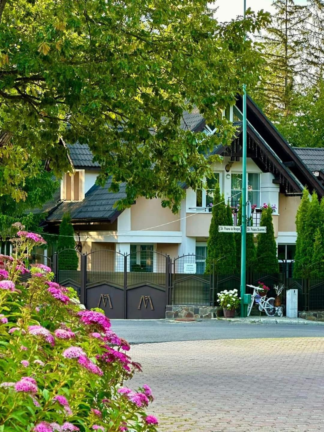 Pensiunea Colina โปยานาบราซอฟ ภายนอก รูปภาพ