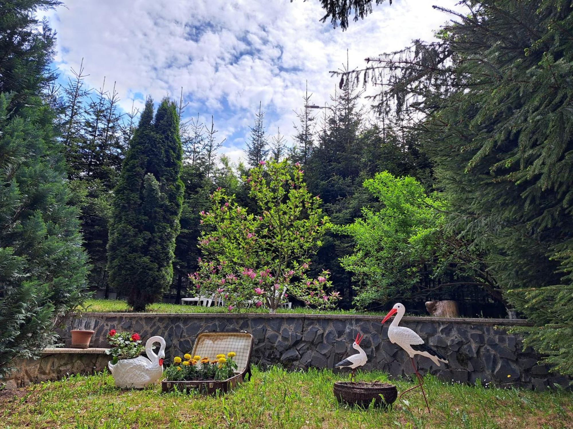 Pensiunea Colina โปยานาบราซอฟ ภายนอก รูปภาพ