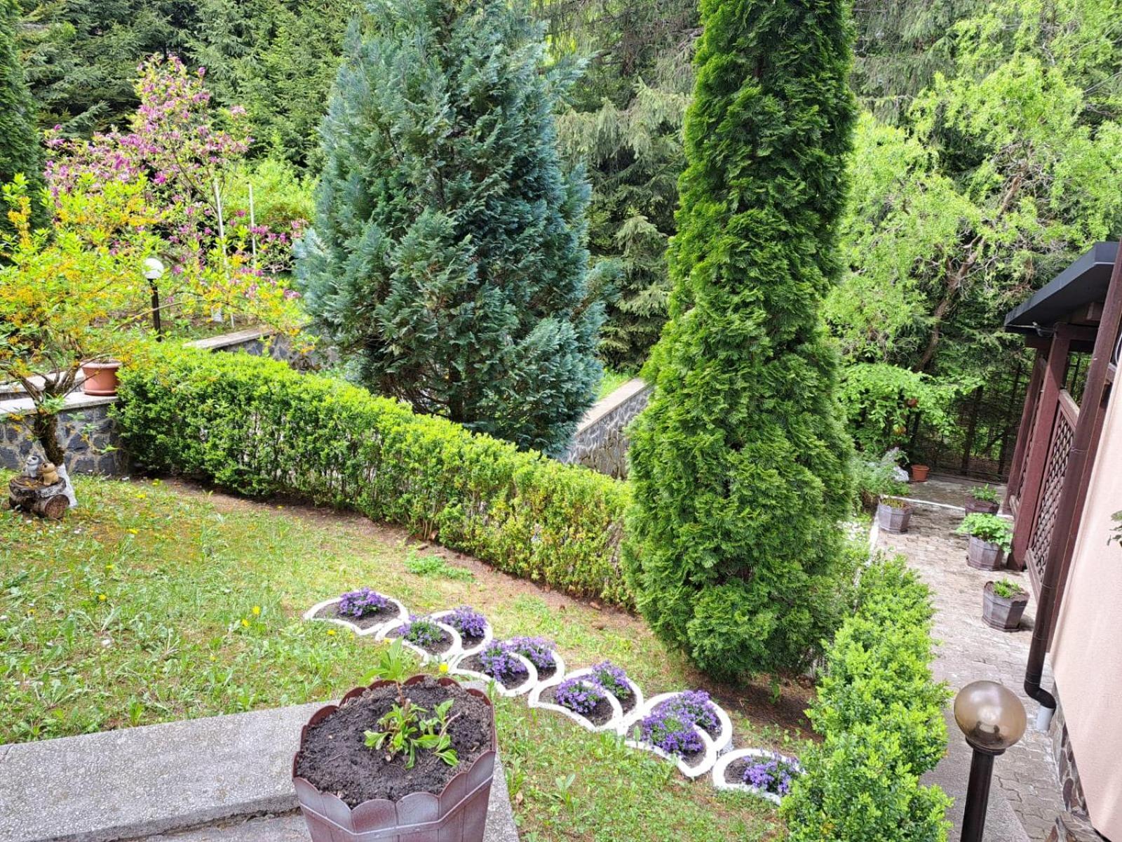 Pensiunea Colina โปยานาบราซอฟ ภายนอก รูปภาพ