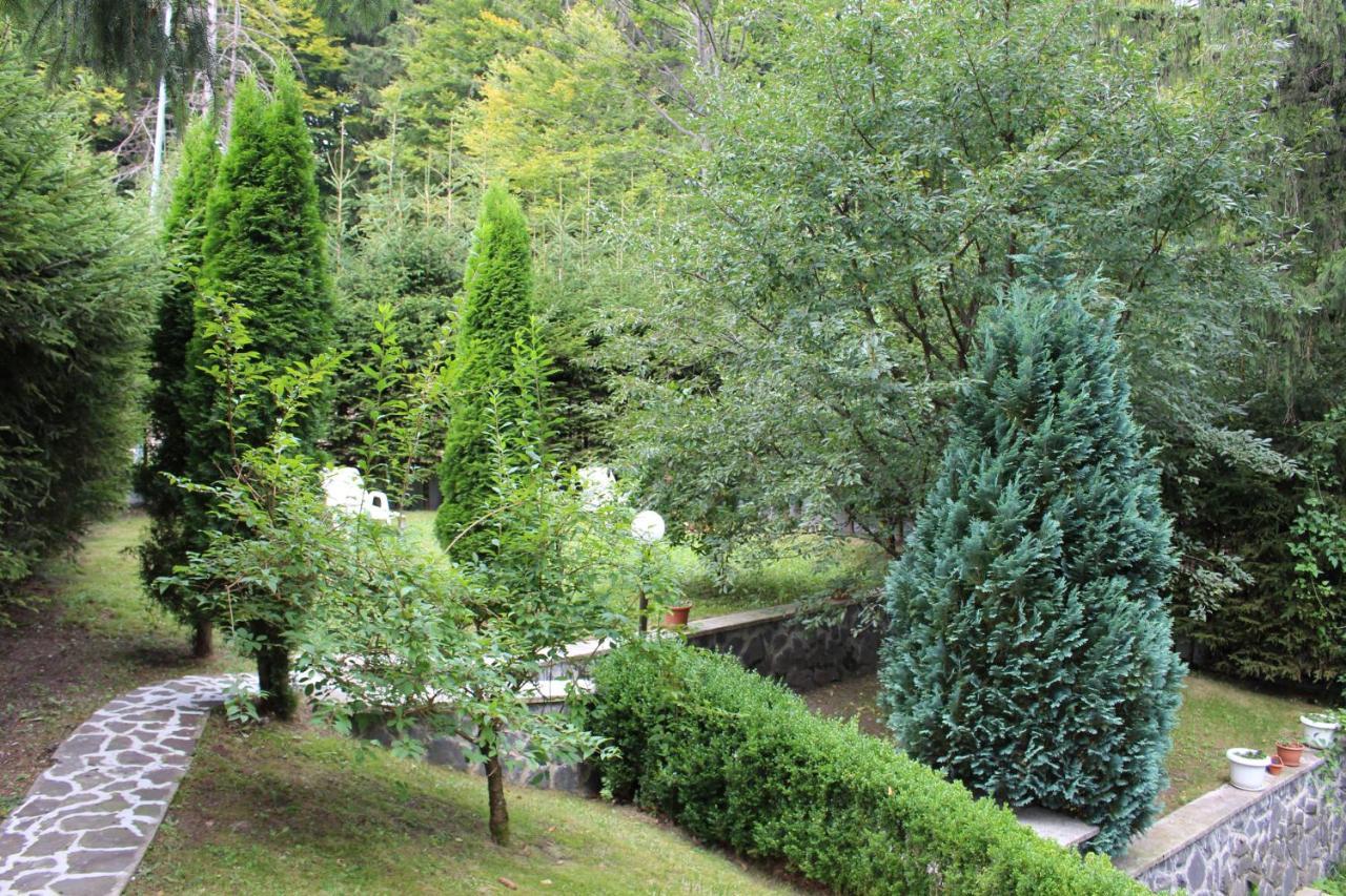 Pensiunea Colina โปยานาบราซอฟ ภายนอก รูปภาพ